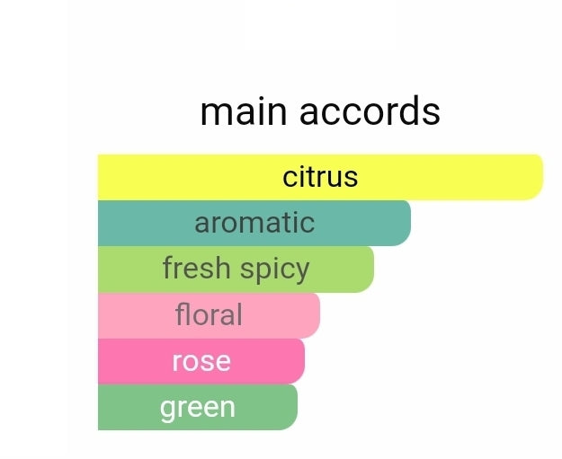 Versus Homme EDP 100ml